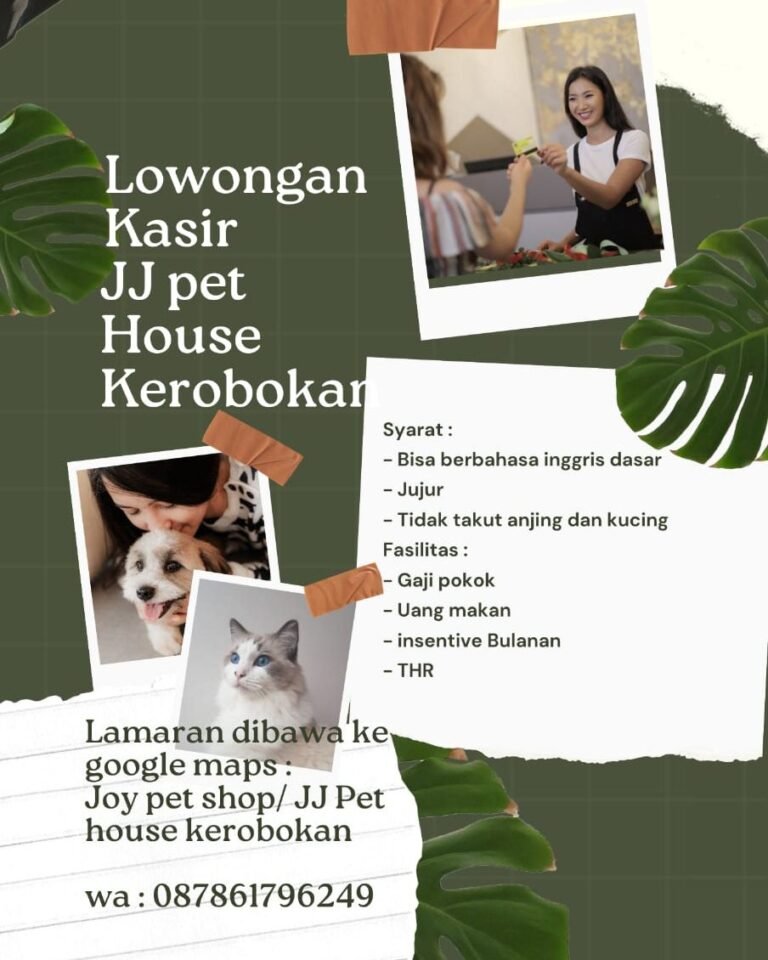 Lowongan Pekerjaan Kasir di JJ Pet House Kerobokan