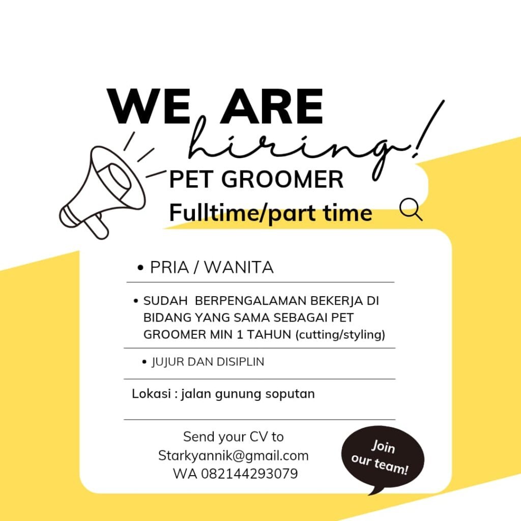 Lowongan Pekerjaan Pet Groomer di Mypawbed Denpasar