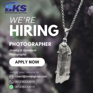 Lowongan Pekerjaan Photographer & Content Creator di PT. Bintang Kian Sentosa Gianyar